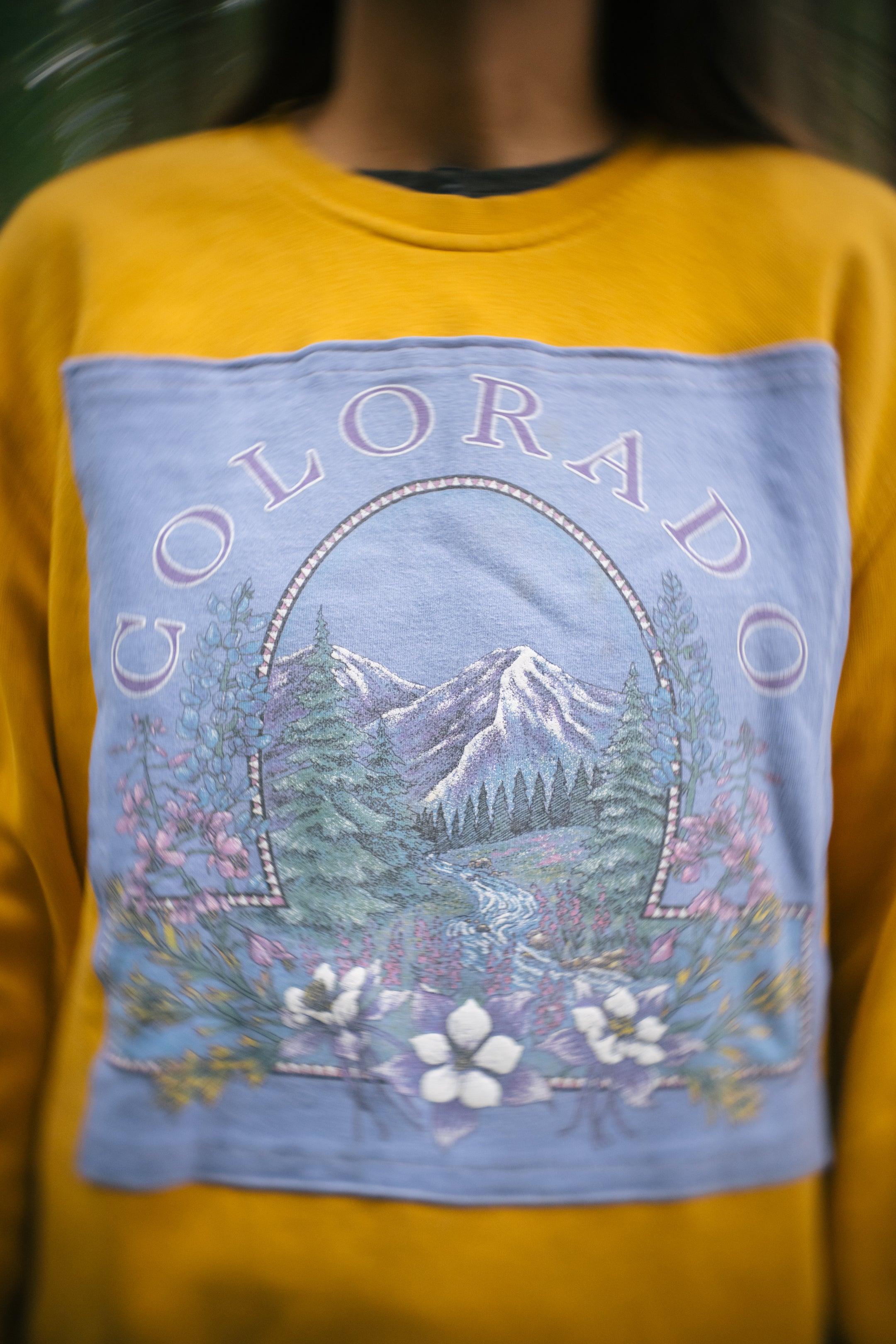 Colorado flora