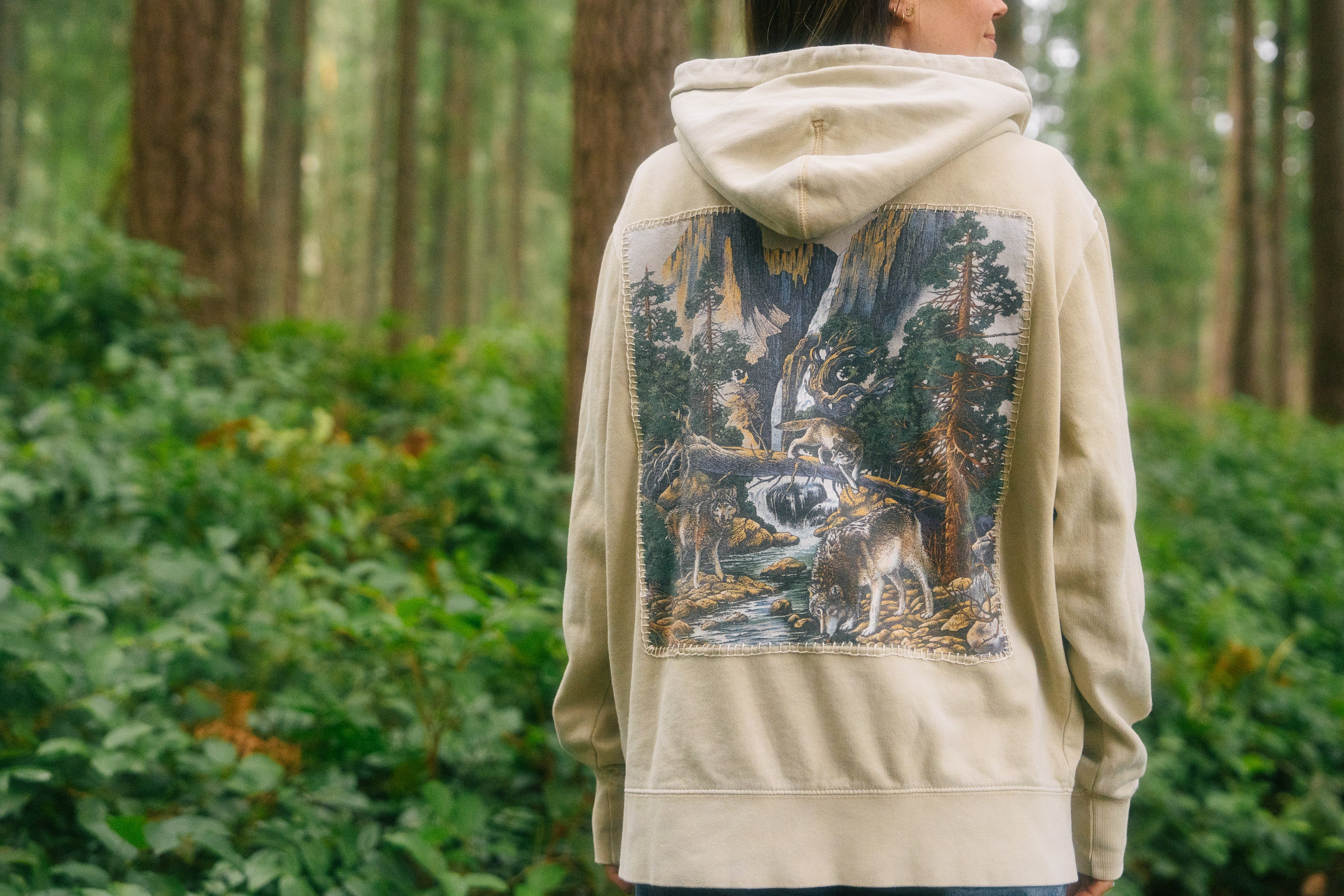 Wolves of Rivendell