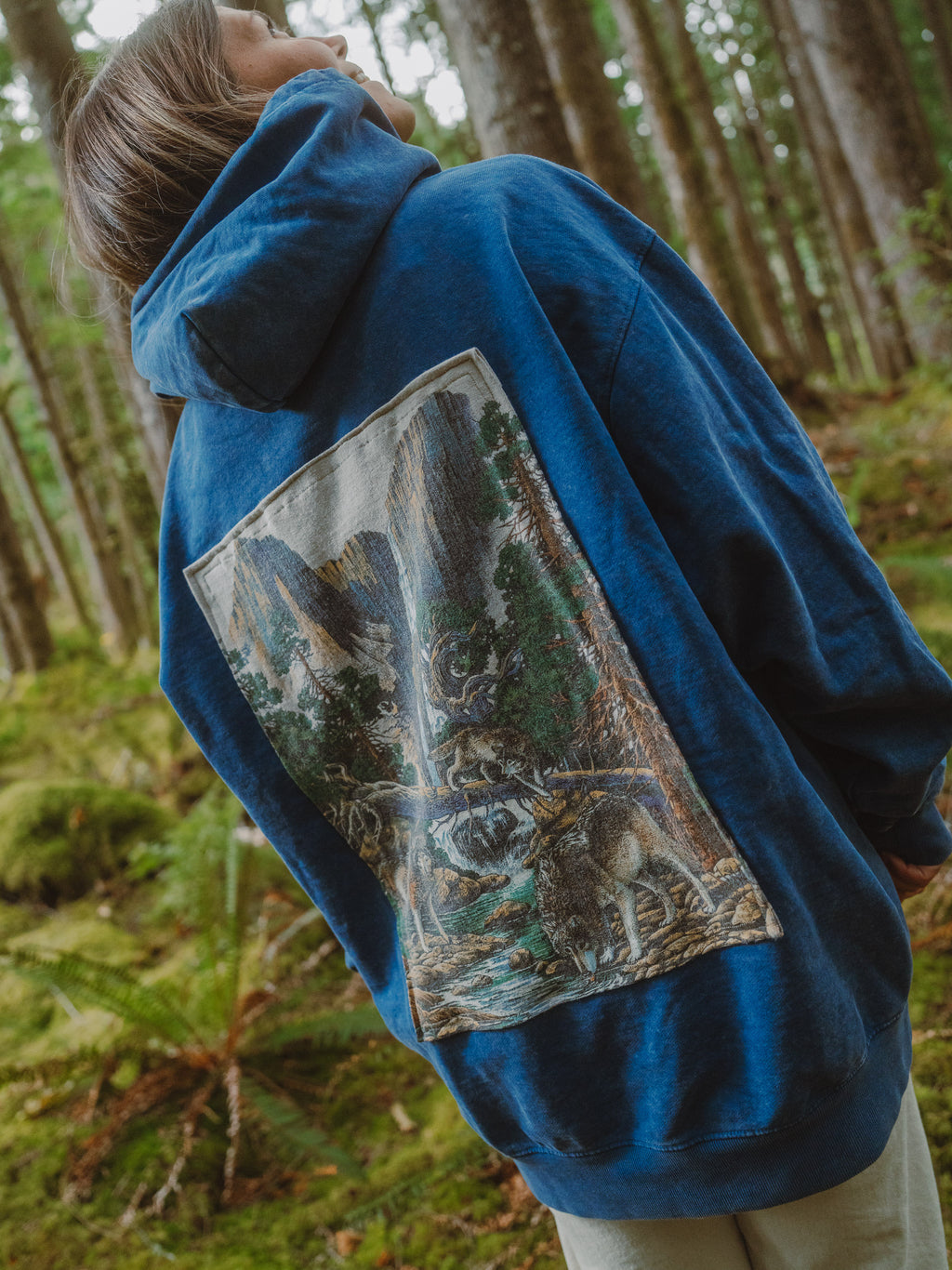 Wolves and waterfalls